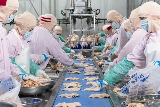 Vì sao EU gia tăng cảnh báo với nông sản thực phẩm xuất khẩu Việt Nam?