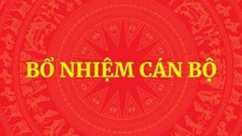 Thủ tướng điều động, bổ nhiệm thứ trưởng 7 bộ