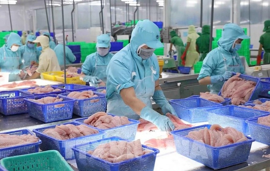 Int’l financial institutions show positive views on Vietnam's growth prospects Int’l financial institutions show positive views on Vietnam's growth prospects