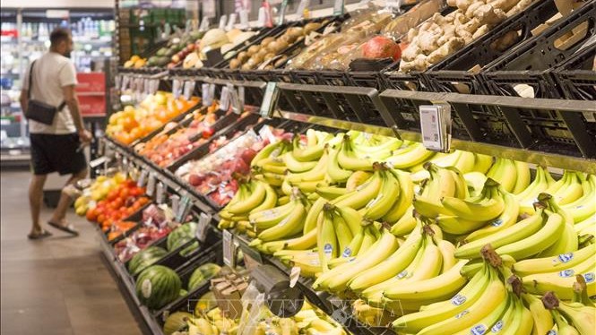 EBRD hạ dự báo tăng trưởng các nền kinh tế năm 2025