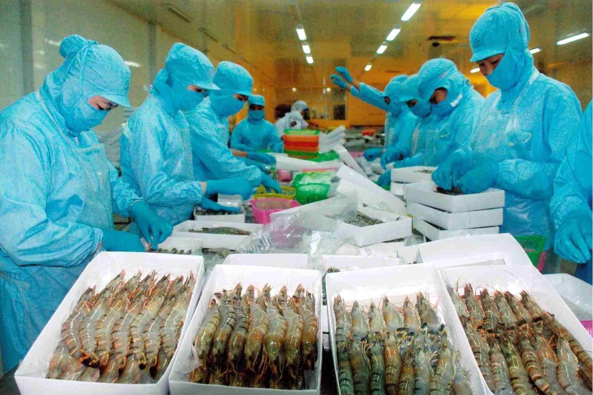 Doanh nghiệp thủy sản thiệt hại hàng nghìn tỷ đồng/năm nếu các thủ tục chậm công bố