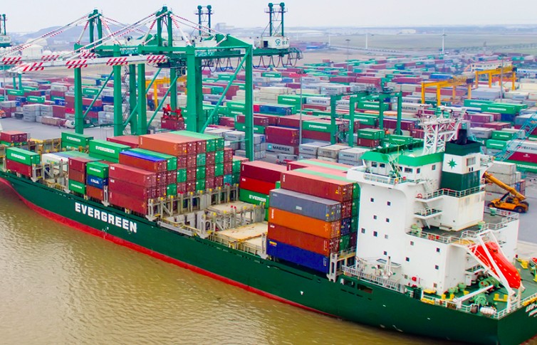 Hậu đính chính Báo cáo tài chính quý IV/2024, lợi nhuận sau thuế Viconship giảm 39%