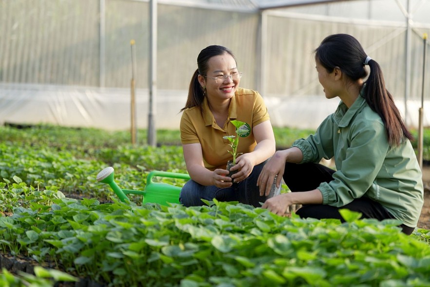 Phá bỏ rào cản cho cộng đồng nữ doanh nhân Việt Nam Phá bỏ rào cản cho cộng đồng nữ doanh nhân Việt Nam