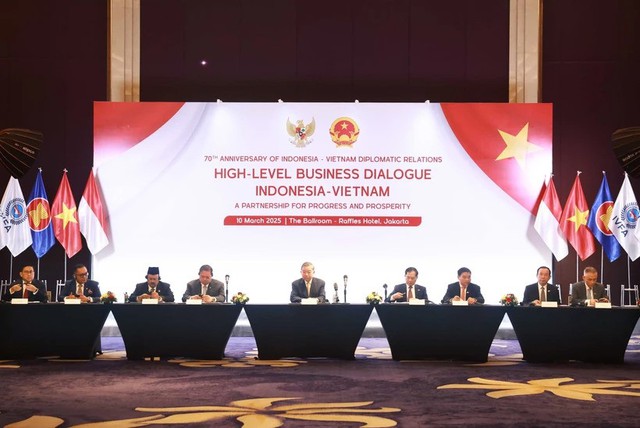 Party leader attends Viet Nam-Indonesia high-level business dialogue- Ảnh 1.