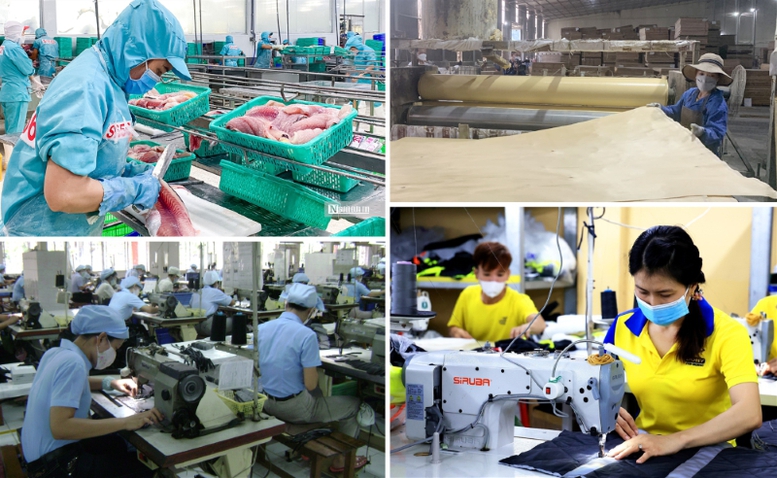 Hướng dẫn sử dụng kinh phí hỗ trợ doanh nghiệp tư nhân kinh doanh bền vững- Ảnh 1. Hướng dẫn sử dụng kinh phí hỗ trợ doanh nghiệp tư nhân kinh doanh bền vững- Ảnh 1.