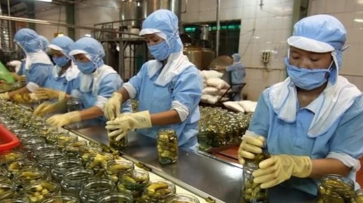 Vietnam's small business growth soars to a four-year high