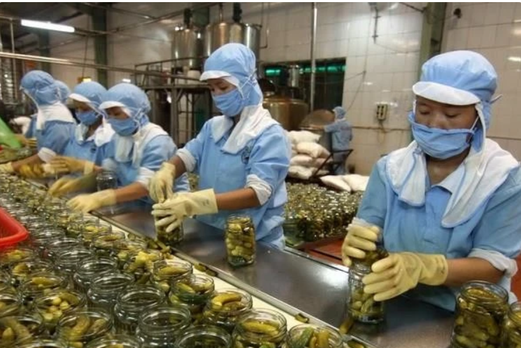 Vietnam's small business growth soars to a four-year high Vietnam's small business growth soars to a four-year high