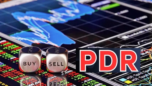 Ủy ban Chứng khoán phạt nặng hai cá nhân và một loạt cá nhân khác cho mượn tài khoản để thao túng cổ phiếu PDR