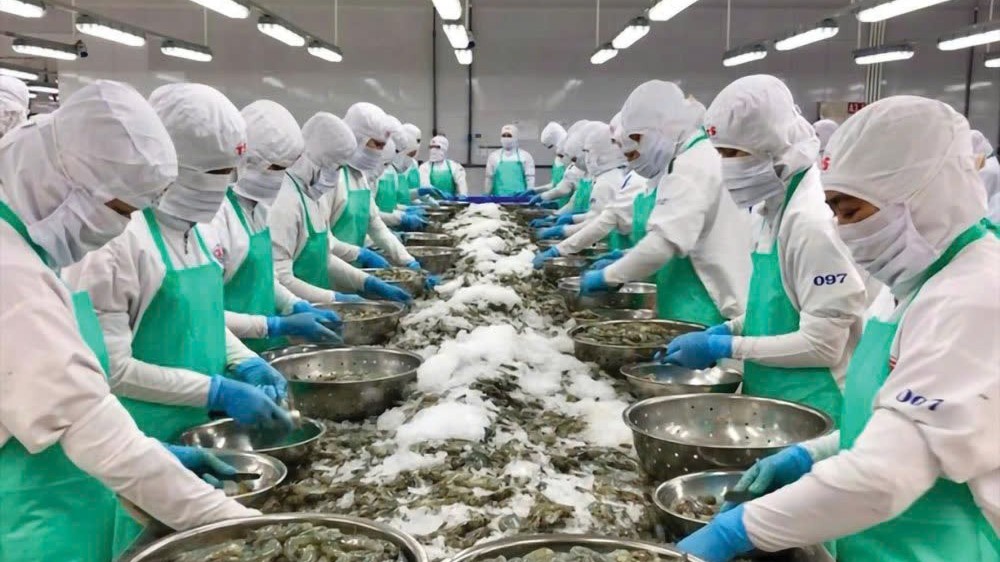 Cửa sáng hợp tác đầu tư thương mại cho doanh nghiệp Việt Nam - EU