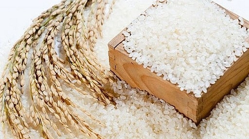 Ngày 29/3: Giá lúa trong nước tăng nhẹ, giá gạo các loại ít biến động