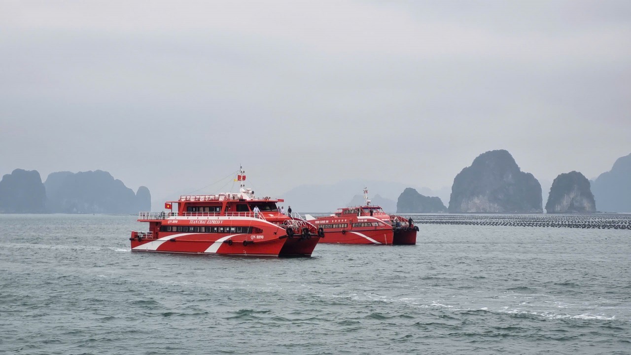 Quảng Ninh thu hút nguồn lực phát triển du lịch vịnh Bái Tử Long