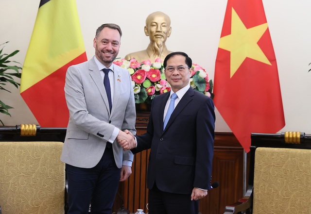Viet Nam urges Belgium to soon ratify EVIPA- Ảnh 1. Viet Nam urges Belgium to soon ratify EVIPA- Ảnh 1.