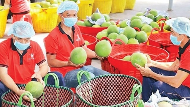 Kiến tạo không gian phát triển, nâng cao giá trị các sản phẩm nông lâm thủy sản