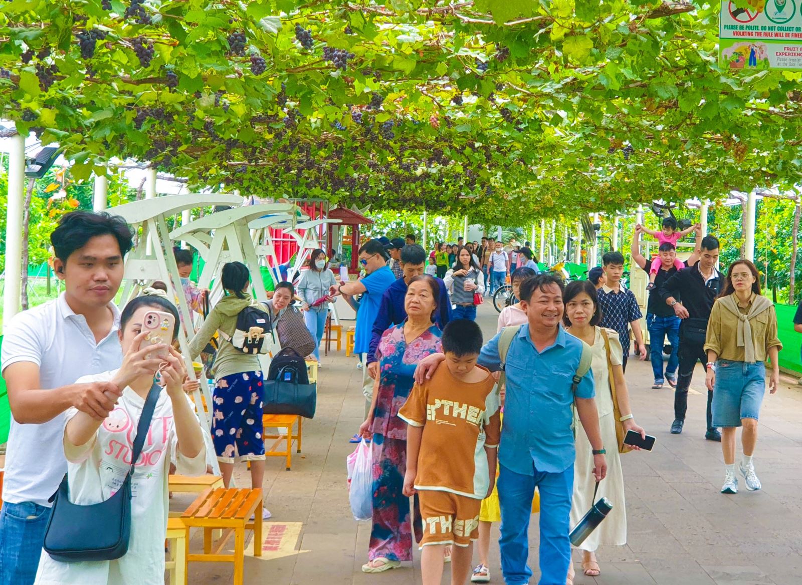 Du lịch lễ 30/4 và 1/5: Lượng khách và giá tour du lịch đều tăng trên 10% Chú thích ảnh