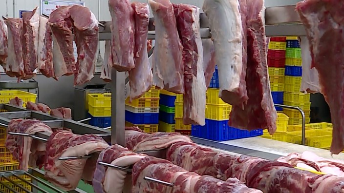 Giá heo tăng do nhu cầu tiêu thụ tăng