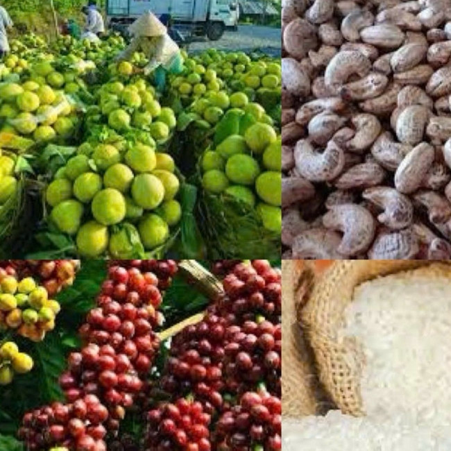 Mở lối kinh doanh cho doanh nghiệp Việt tại Chile và khu vực Nam Mỹ