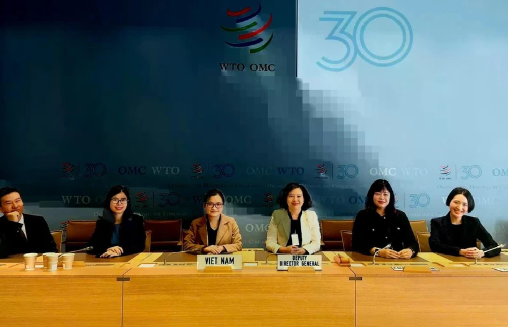 Vietnam provides updates on rules of origin at WTO