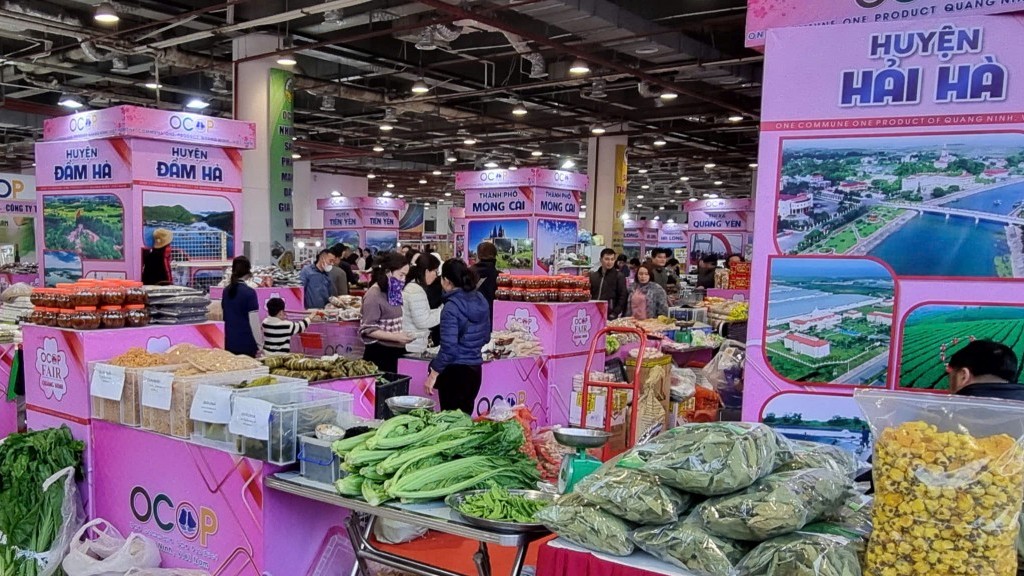 Quảng Ninh: Mở rộng thị trường cho sản phẩm OCOP qua thương mại điện tử