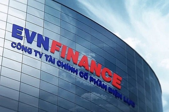 Chi nhánh EVNFinance lộ sai sót về cho vay sau thanh tra