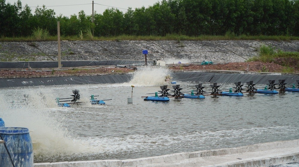 Quảng Ninh với chiến lược phát triển nông nghiệp công nghệ cao