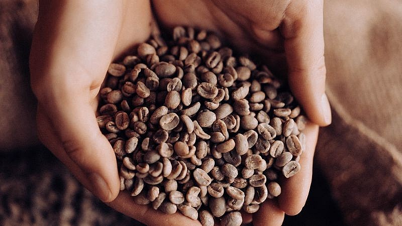 Ngày 13/4: Giá cà phê, hồ tiêu trong nước tiếp đà tăng