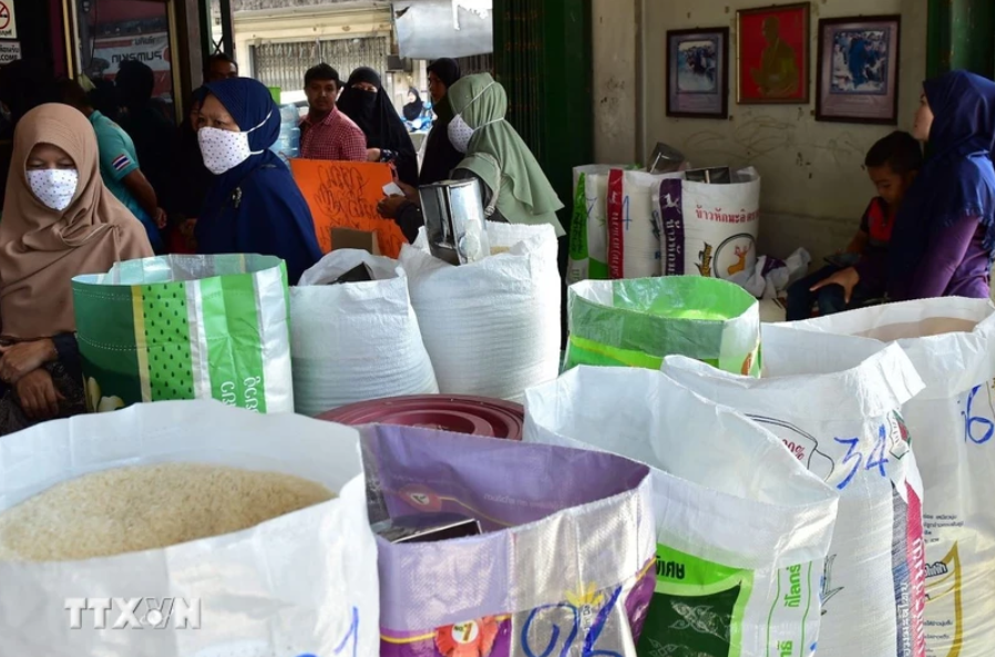 Giá gạo Thái Lan chạm đáy hơn 3 năm Giá gạo Thái Lan chạm đáy hơn 3 năm