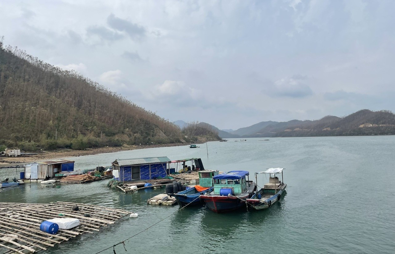 Quảng Ninh đã cấp phép khai thác thuỷ sản cho gần 4.000 tàu cá