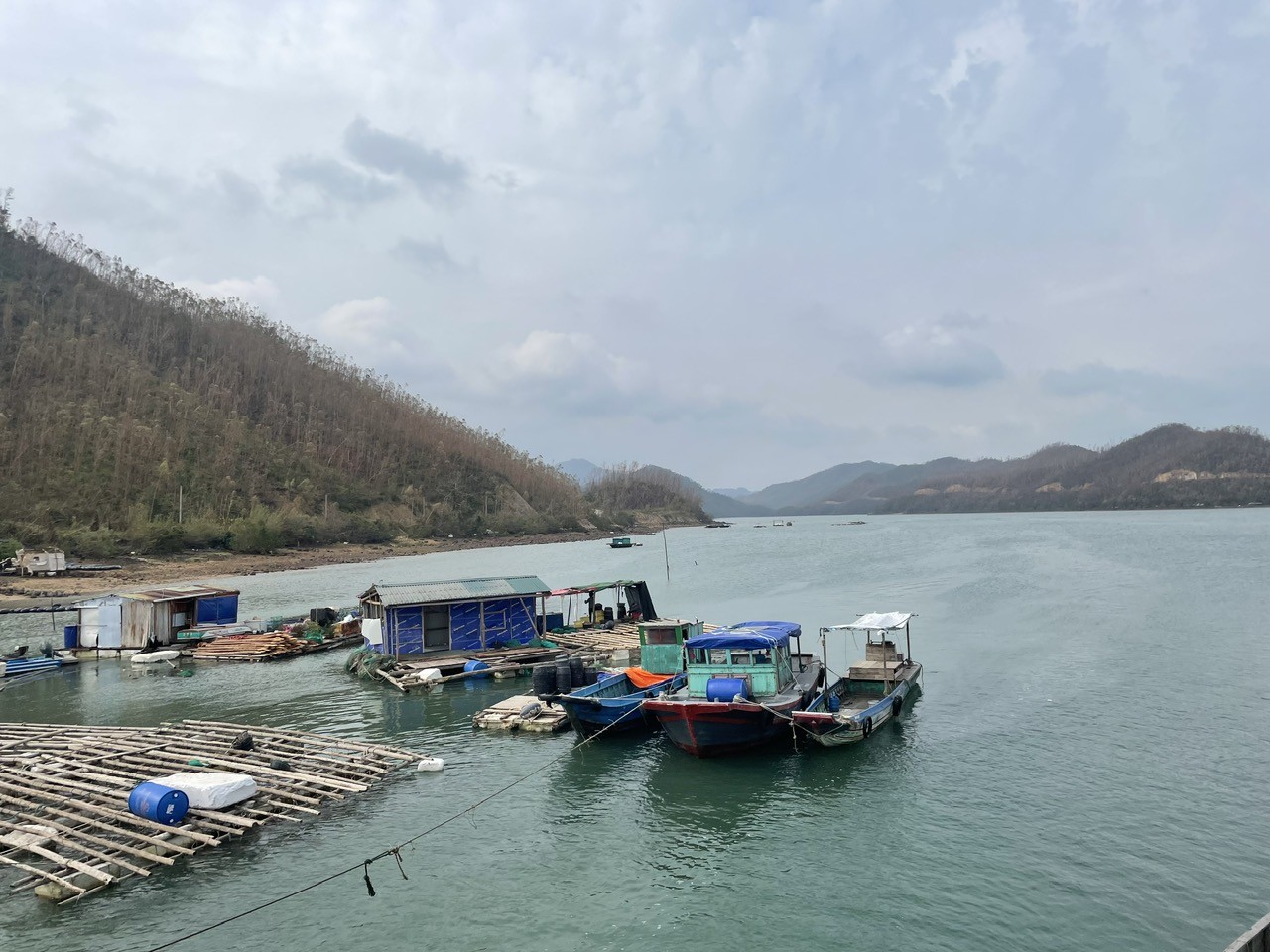 Quảng Ninh đã cấp phép khai thác thuỷ sản cho gần 4.000 tàu cá Quảng Ninh đã cấp phép khai thác thuỷ sản cho gần 4.000 tàu cá