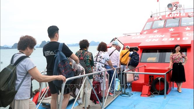 Giá vé tàu du lịch ra đảo Cô Tô đồng loạt tăng lên 300.000 đồng/người/lượt