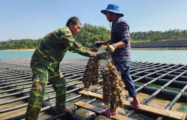Quảng Ninh hướng đến phát triển ngành thủy sản bền vững