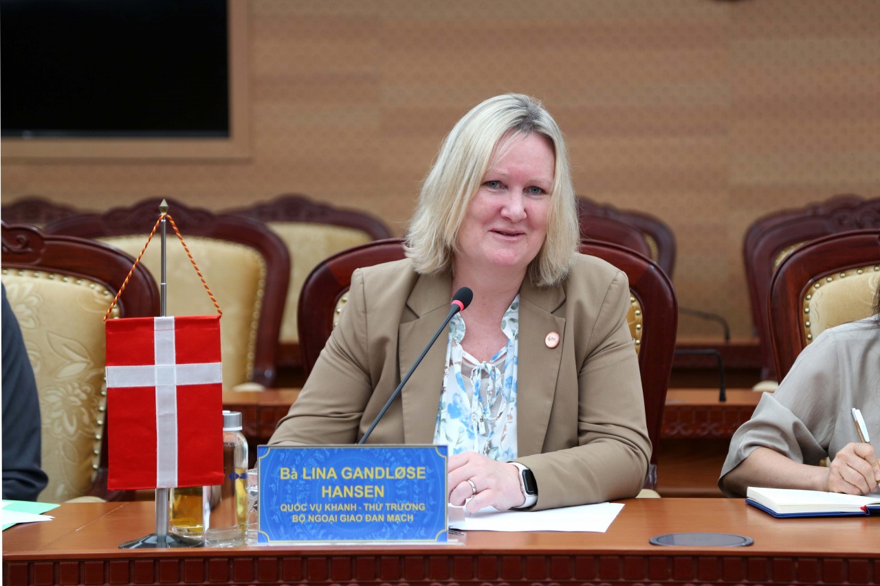 Việt Nam – Đan Mạch tăng cường hợp tác song phương về tài chính, đầu tư, thương mại
