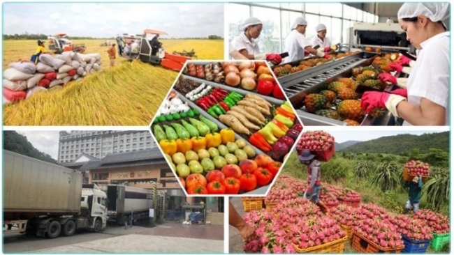 Vietnam to diversify markets for agricultural products amid global trade shifts