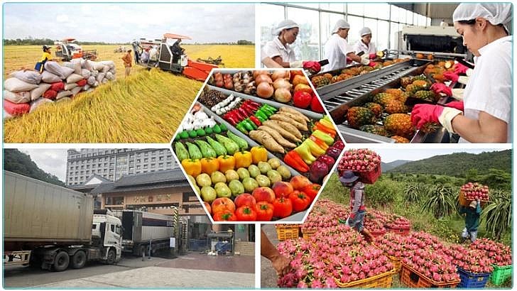 Vietnam to diversify markets for agricultural products amid global trade shifts
