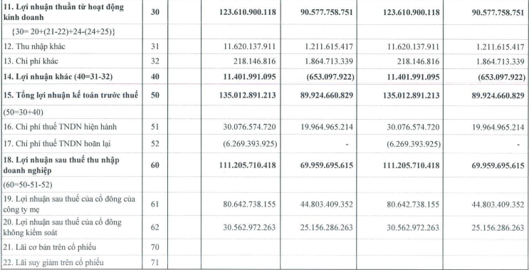 Viconship điều chỉnh tăng kế hoạch lợi nhuận thêm 32%, chi cổ tức bằng tiền và cổ phiếu thưởng 30%