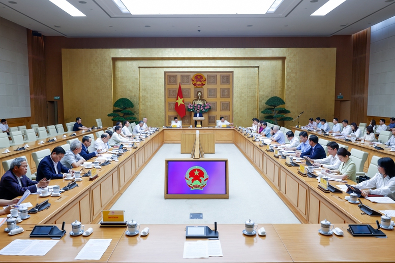 Thủ tướng Phạm Minh Chính chủ trì phiên họp với Hội đồng Tư vấn chính sách- Ảnh 3. Thủ tướng Phạm Minh Chính chủ trì phiên họp với Hội đồng Tư vấn chính sách- Ảnh 3.