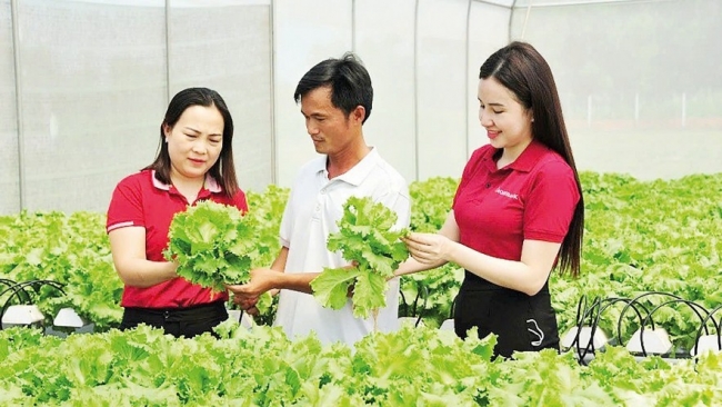 Dòng vốn Agribank thúc đẩy khu vực kinh tế tư nhân phát triển