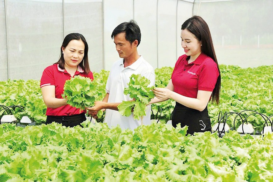 Dòng vốn Agribank thúc đẩy khu vực kinh tế tư nhân phát triển