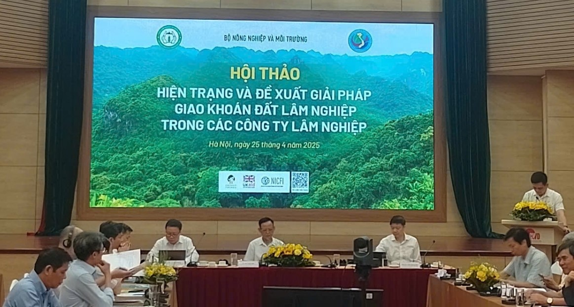Các công ty lâm nghiệp toàn quốc đã thực hiện khoán gần 460.000 ha đất Các công ty lâm nghiệp toàn quốc đã thực hiện khoán gần 460.000 ha đất