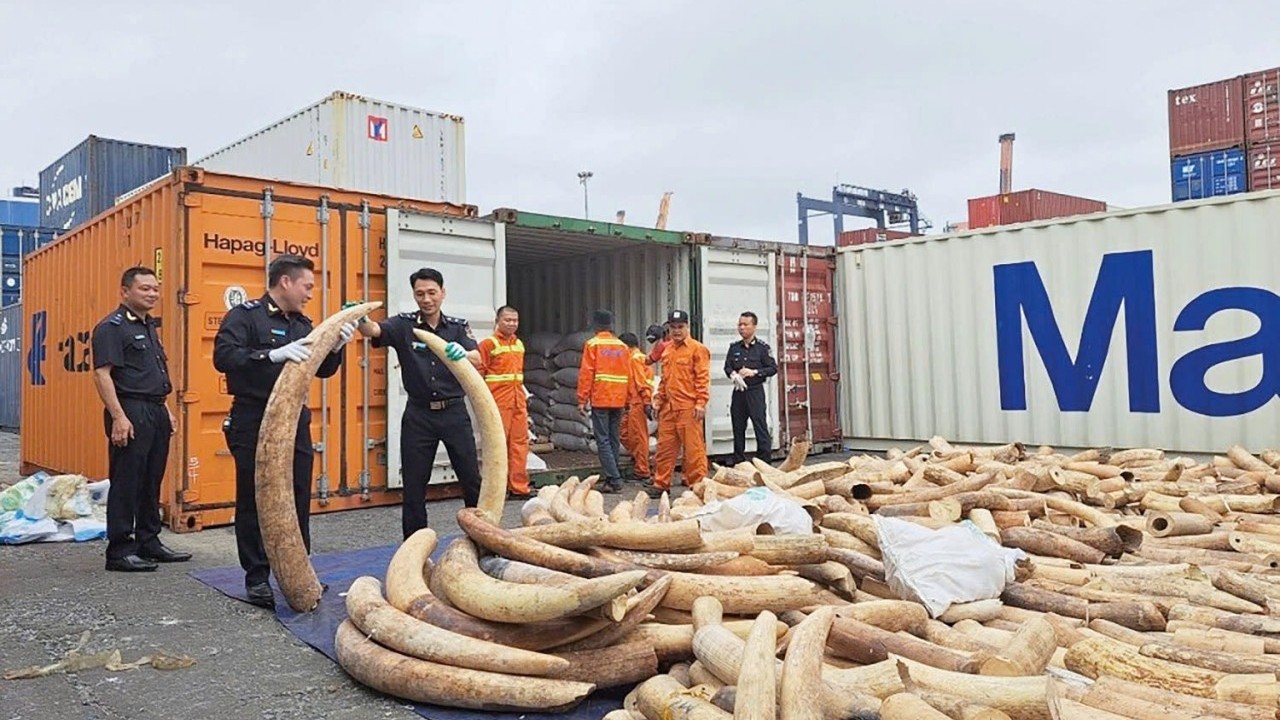 Triển khai quyết liệt các biện pháp chống buôn lậu động vật, thực vật hoang dã