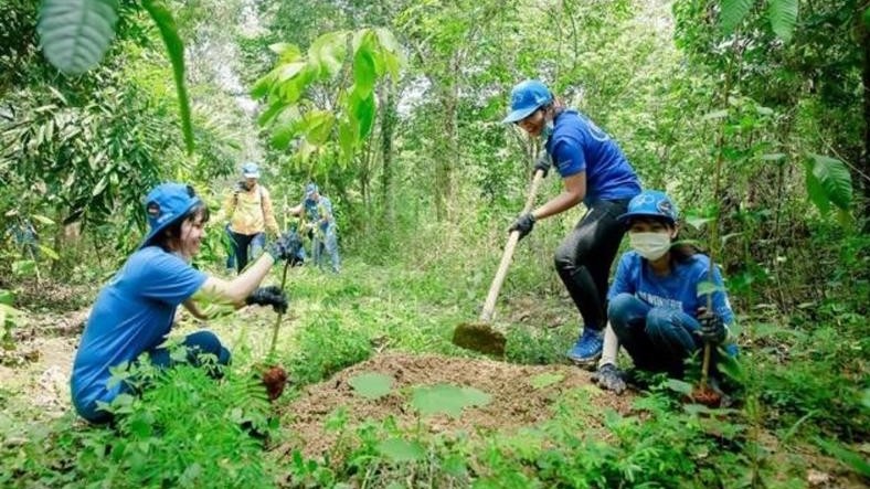 Chính sách giao khoán rừng, đất lâm nghiệp vẫn còn nhiều bất cập, chưa phù hợp thực tiễn