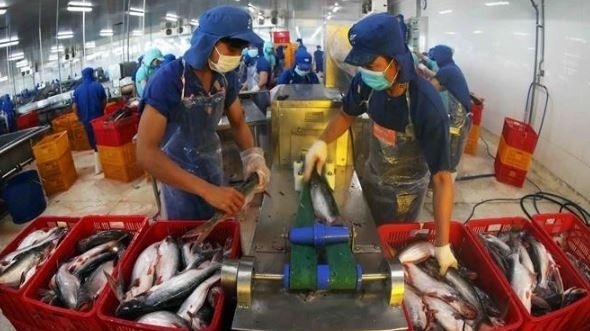 World Bank forecasts Vietnam's GDP growth at 5.8% in 2025