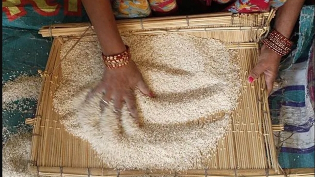 Thị trường nông sản: Biến động tỷ giá hỗ trợ giá gạo châu Á