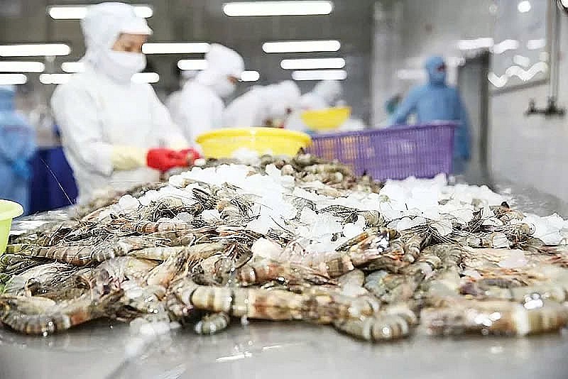 Mở rộng đầu tư công, giảm thiểu rủi ro của khu vực tài chính để hỗ trợ tăng trưởng