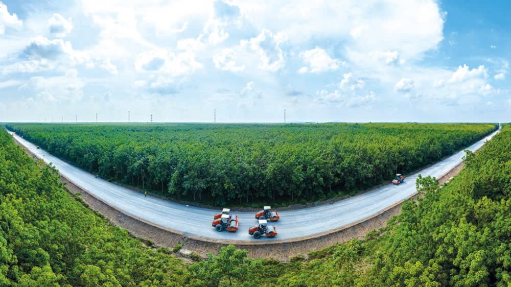 Con đường của ý chí và trí tuệ Việt Nam