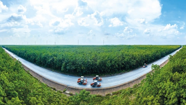 Con đường của ý chí và trí tuệ Việt Nam