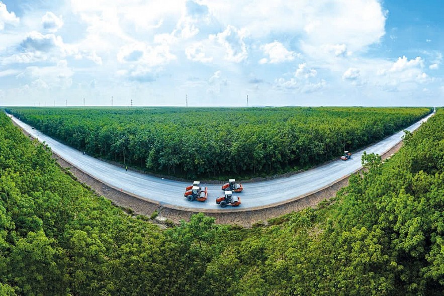 Con đường của ý chí và trí tuệ Việt Nam