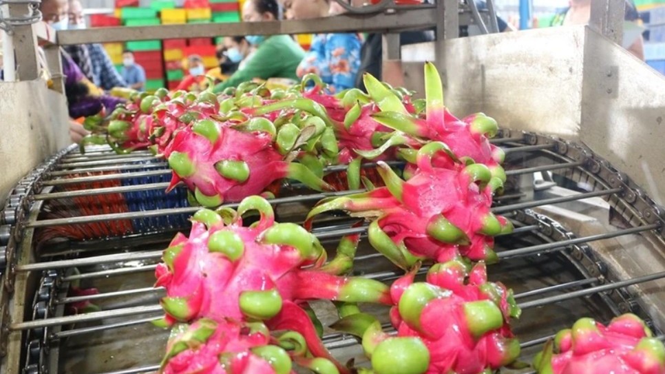 Overseas Vietnamese help Vietnamese products go global