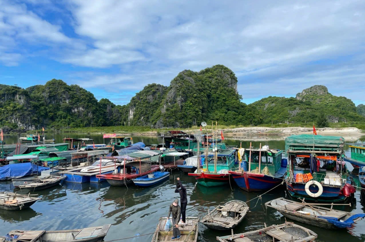 Quảng Ninh: Khai thác tối đa tiềm năng thủy sản từ việc quản lý đến nuôi trồng