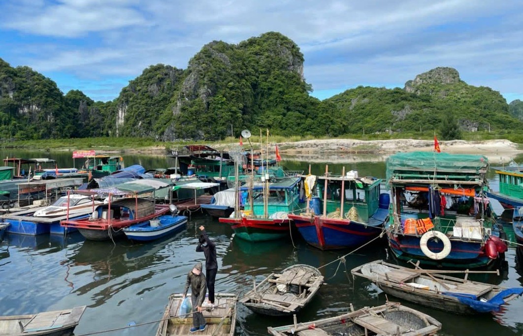 Quảng Ninh: Khai thác tối đa tiềm năng thủy sản từ việc quản lý đến nuôi trồng