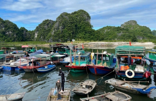 Quảng Ninh: Khai thác tối đa tiềm năng thủy sản từ việc quản lý đến nuôi trồng